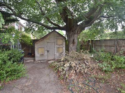 Picture 18